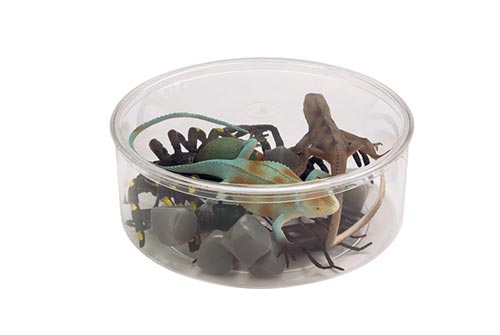 Large Round Plastic Container with Lid