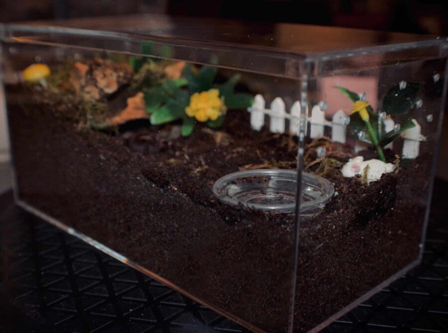 photo of 083CAQUA set up as a tarantula enclosure with substrate and tank decor