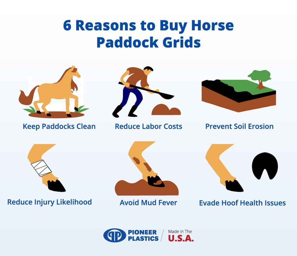 6 Reasons to Buy Horse Paddock Grids