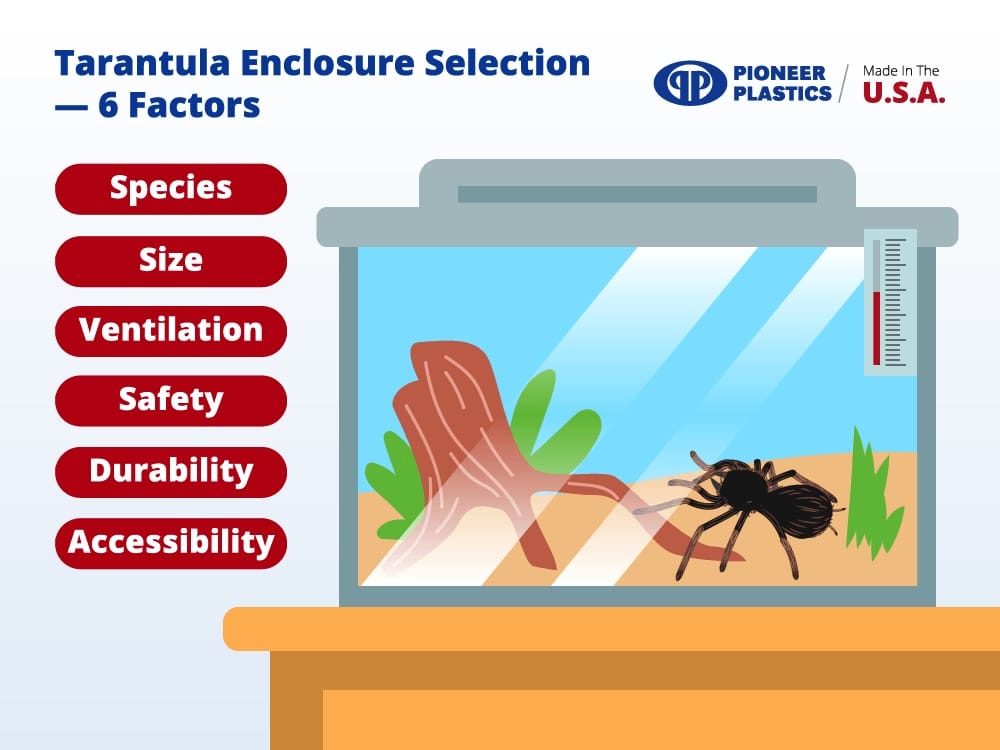 Tarantula enclosure selection factors