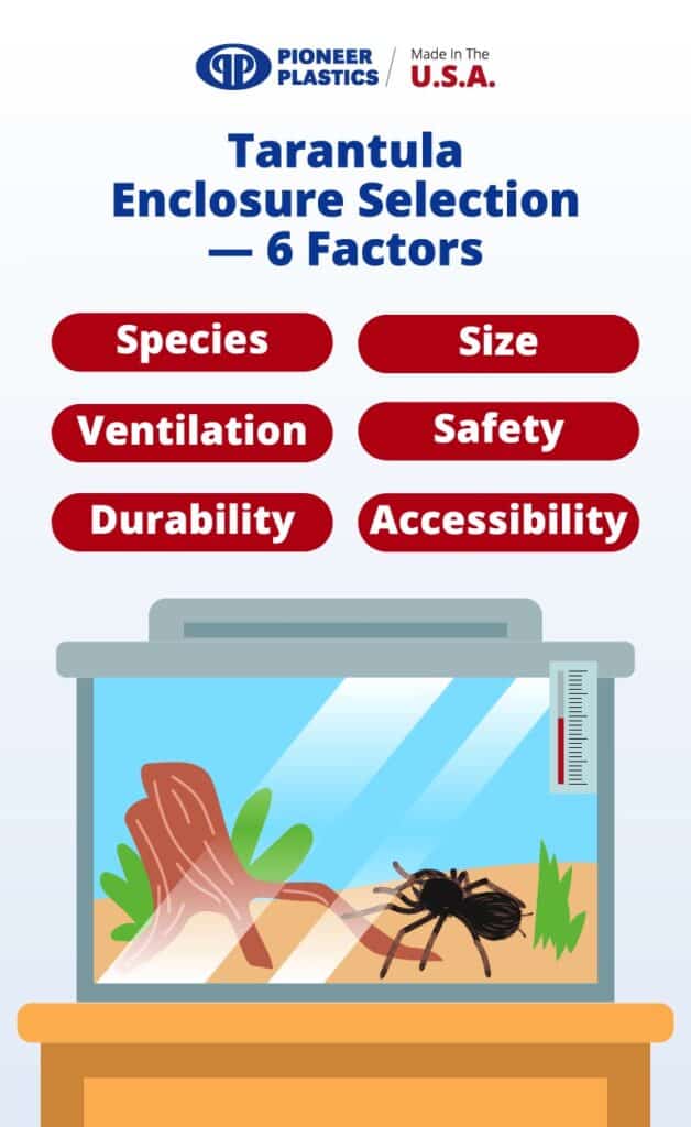 Tarantula enclosure selection factors